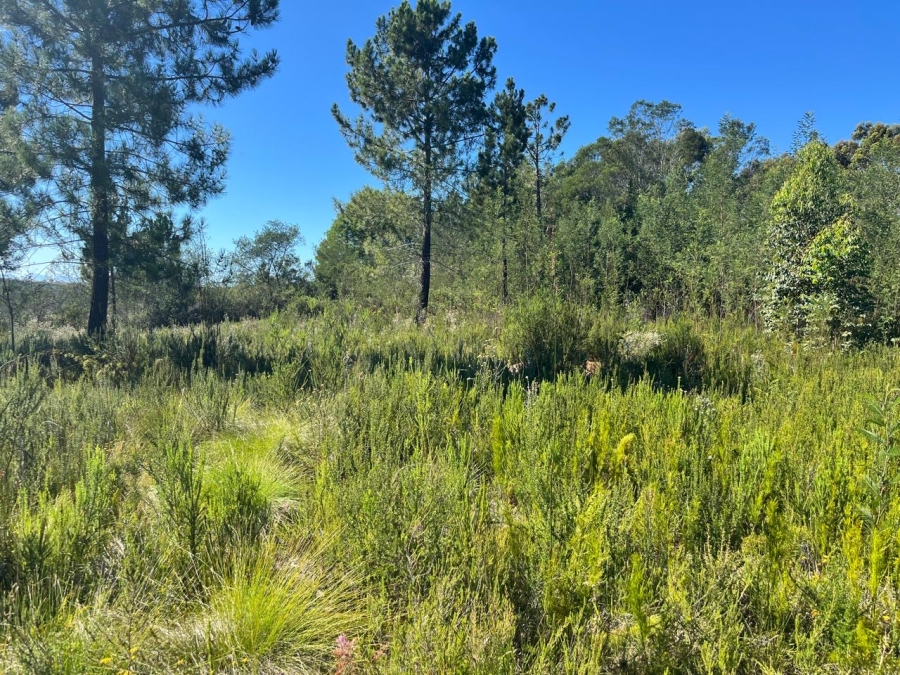 0 Bedroom Property for Sale in The Crags Western Cape